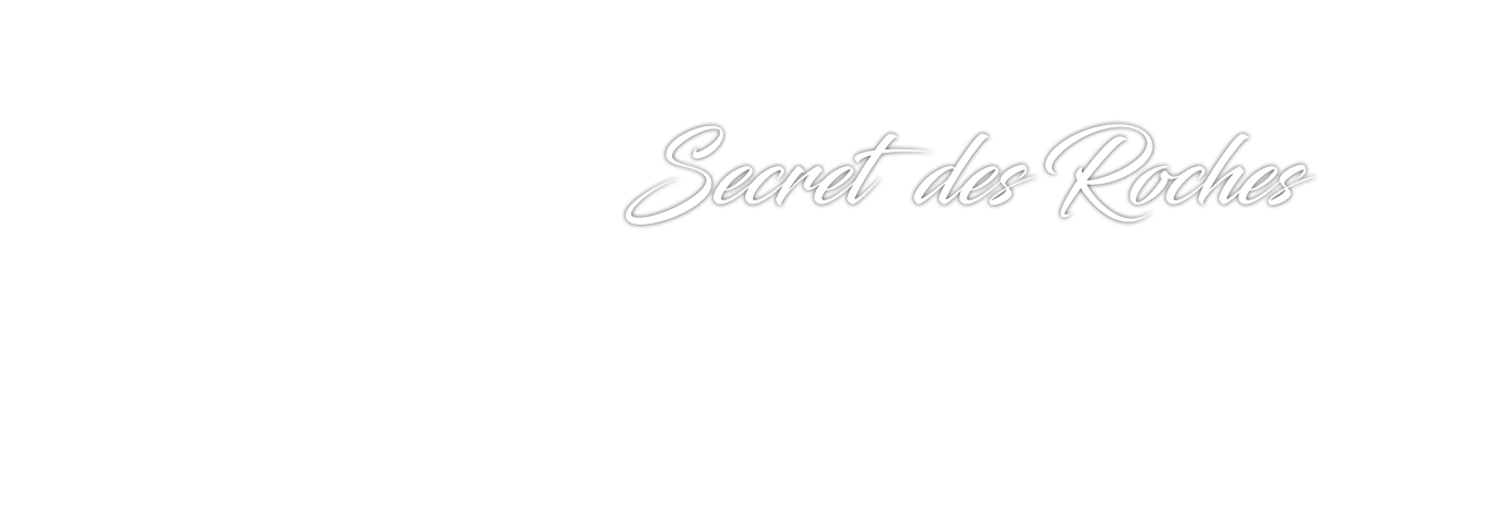 Secret des Roches - Vin Blaye C&ocirc;tes de Bordeaux